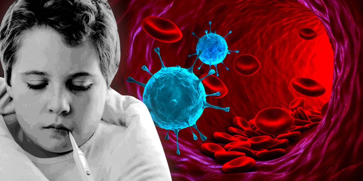 flu season and how to reduce your risk with Dr. Chris Mascetta of Ridgefield Chiropractic and Wellness Center